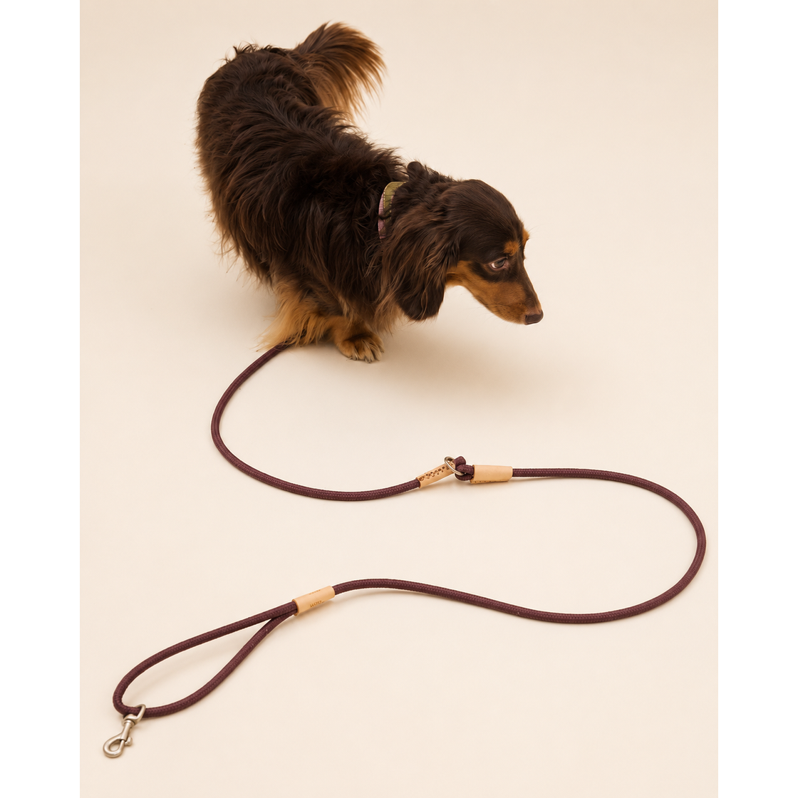 Multi-Way Dog Lead